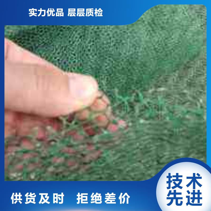【三维植被网毛细排水板生产安装】厂家直销省心省钱