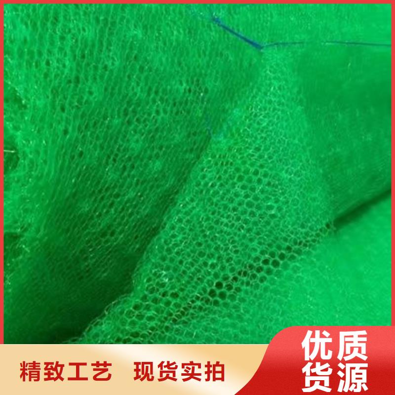 三维植被网自有生产工厂有口皆碑