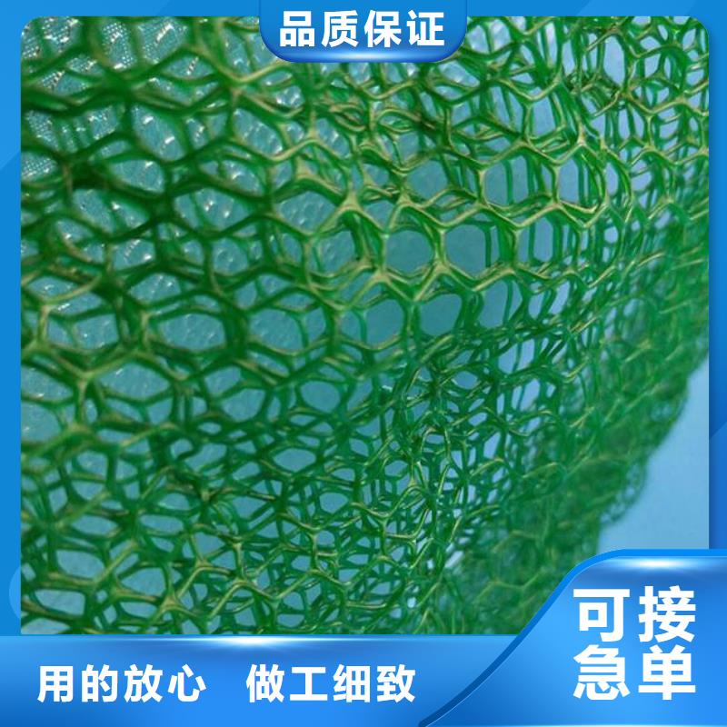 三维植被网防尘布好产品价格低精工制作