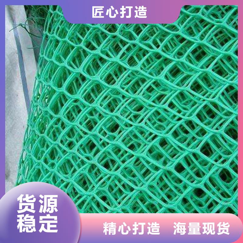 三维植被网HDPE土工膜根据要求定制支持拿样