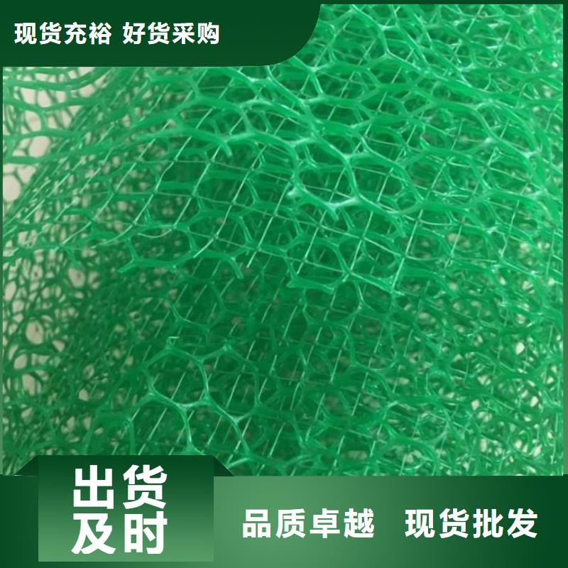 【三维植被网加筋布实地大厂】免费询价