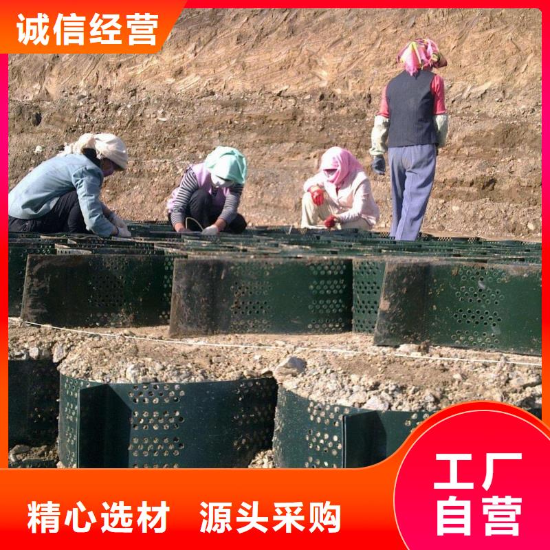 【土工格室】长丝土工布畅销当地同城厂家
