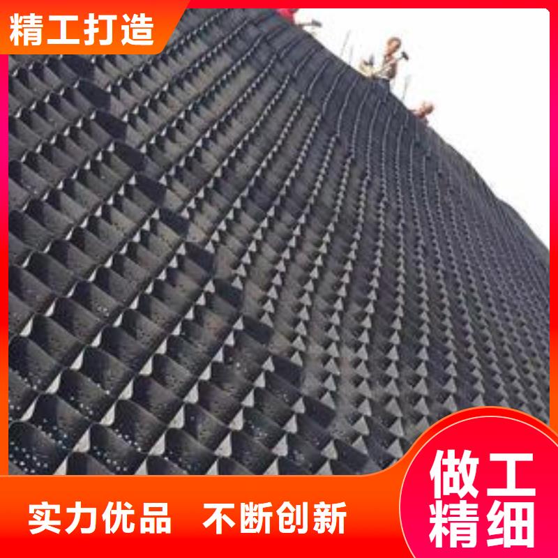 土工格室_涤纶土工格栅认准大品牌厂家同城生产商