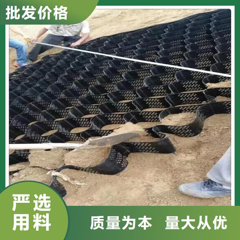 【土工格室】三维植被网专业生产团队支持大小批量采购
