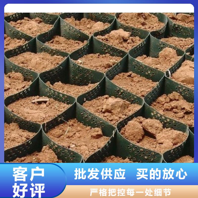 【土工格室】-凸结点钢塑土工格栅每一处都是匠心制作定制不额外收费