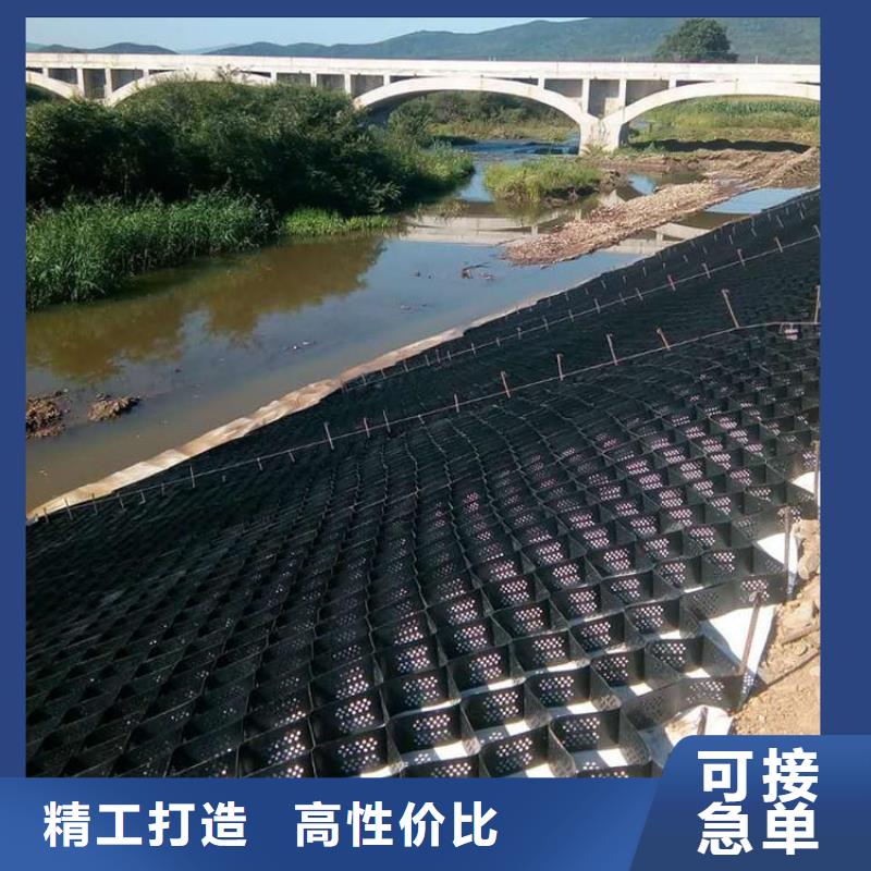 土工格室-【三维土工网垫】质量三包本地货源