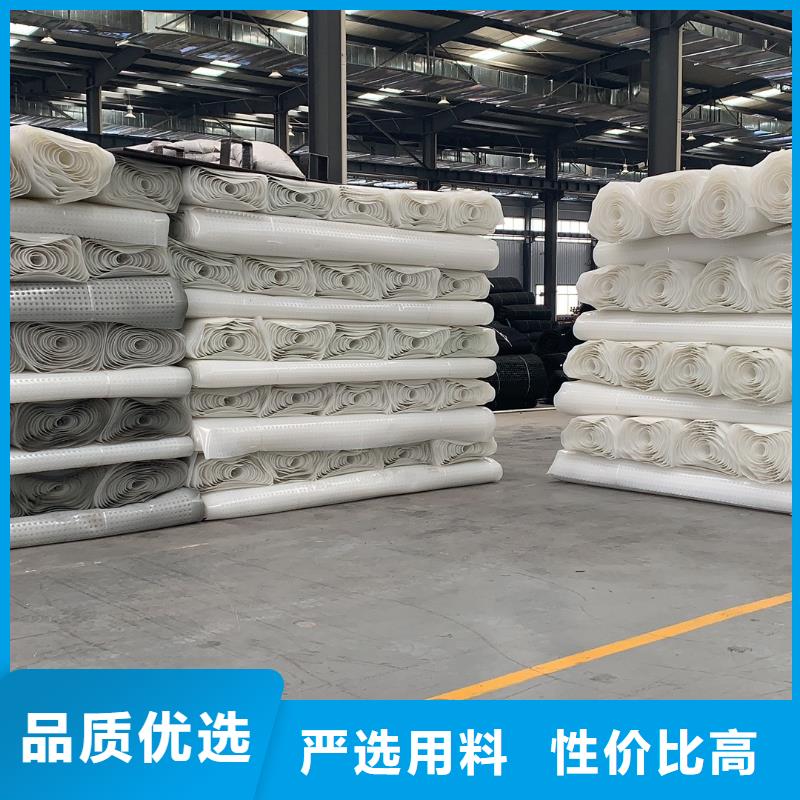 排水板,塑料土工滤网用品质赢得客户信赖本地生产商