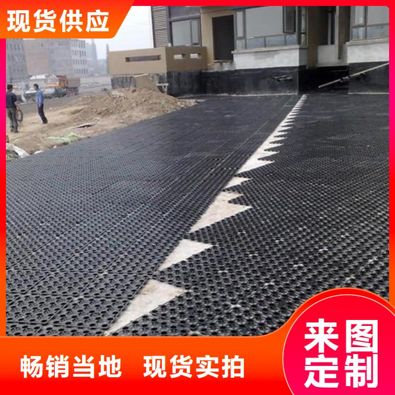 排水板土工格室现货齐全售后无忧闪电发货