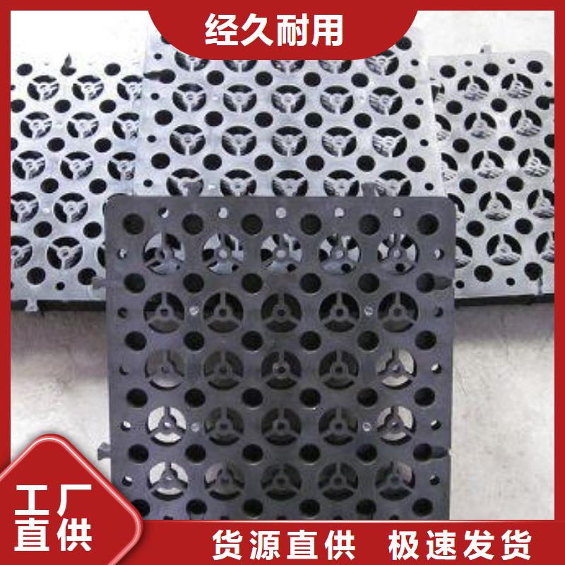 排水板_短丝土工布定制批发当地生产厂家