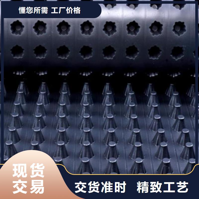 排水板单向塑料土工格栅根据要求定制本地服务商