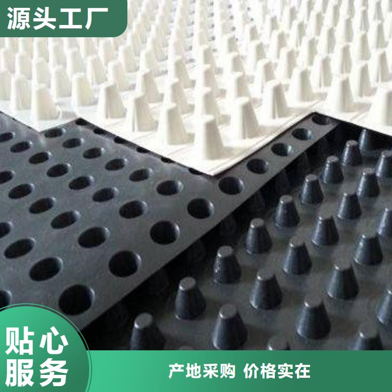 排水板,【土工布】厂家技术完善实地大厂