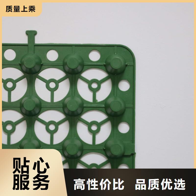 【排水板防渗土工膜实力商家供货稳定】专业设计