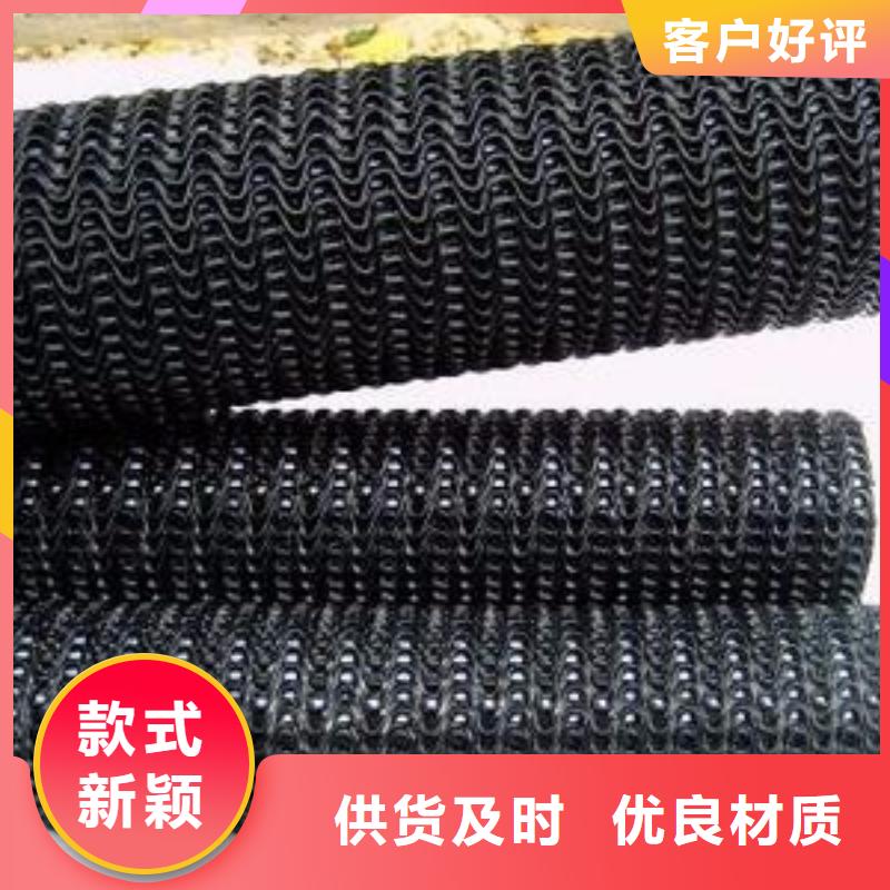 【硬式透水管】三维复合排水网真实拍摄品质可靠当地货源