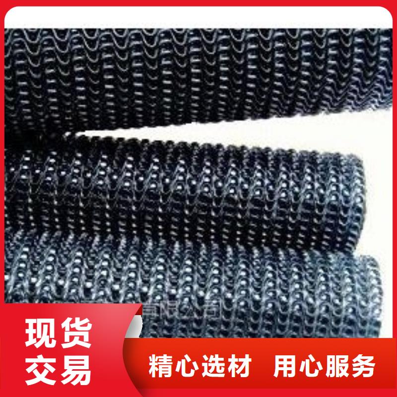 硬式透水管三维植被网应用范围广泛敢与同行比服务