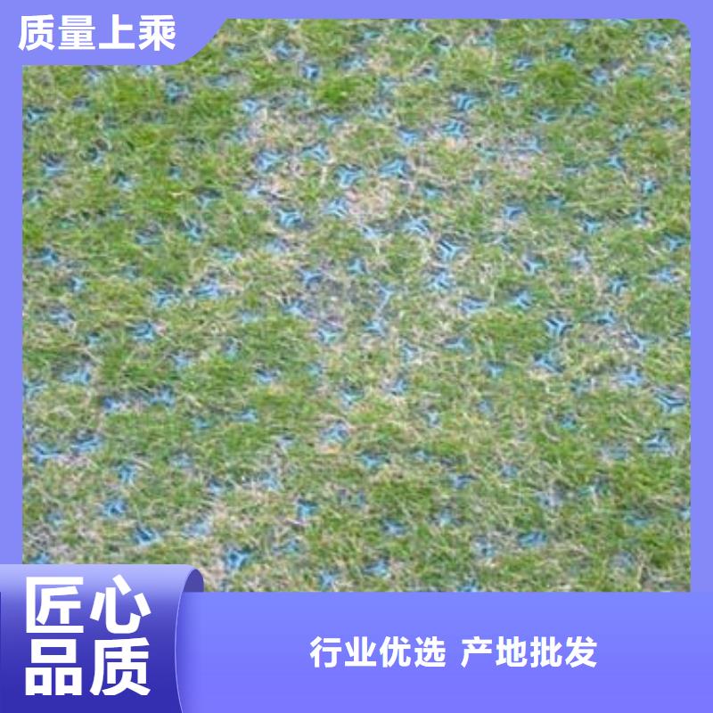 植草格_土工HDPE膜快速生产价格地道