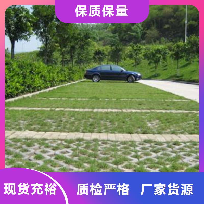 植草格-凸结点钢塑土工格栅品质可靠工厂直营