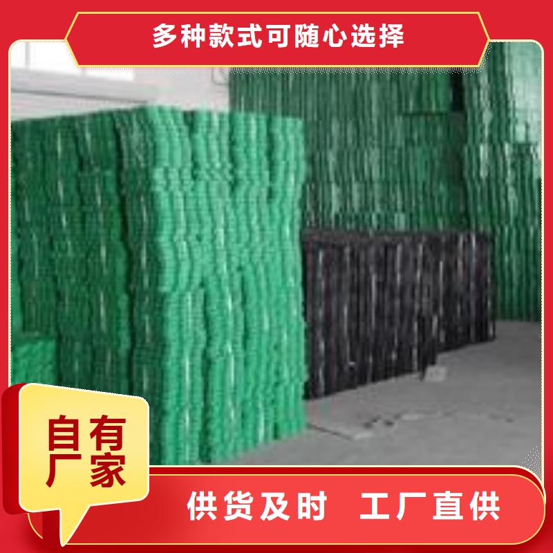 植草格土工滤网实体厂家支持定制当地服务商