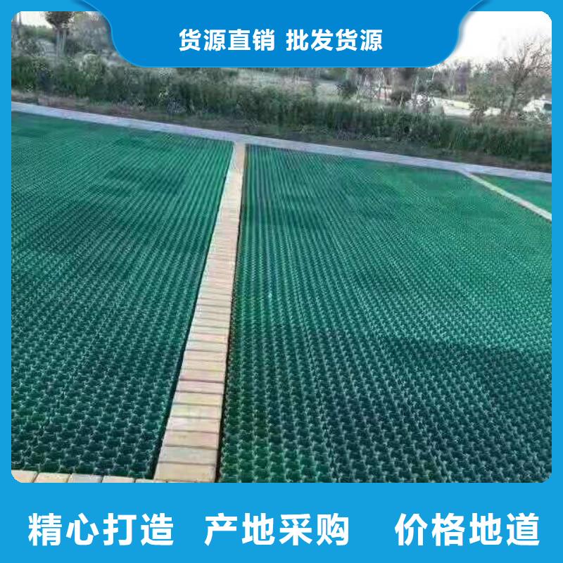 植草格三维土工网垫重信誉厂家价格实惠工厂直供