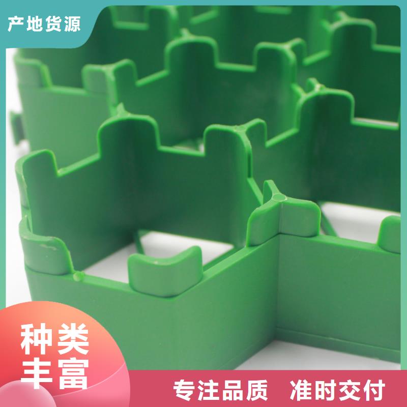 【植草格】_涤纶土工格栅品质做服务专业品质