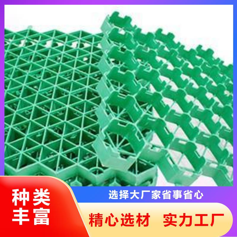 【植草格三维复合排水网质检严格】源头厂商