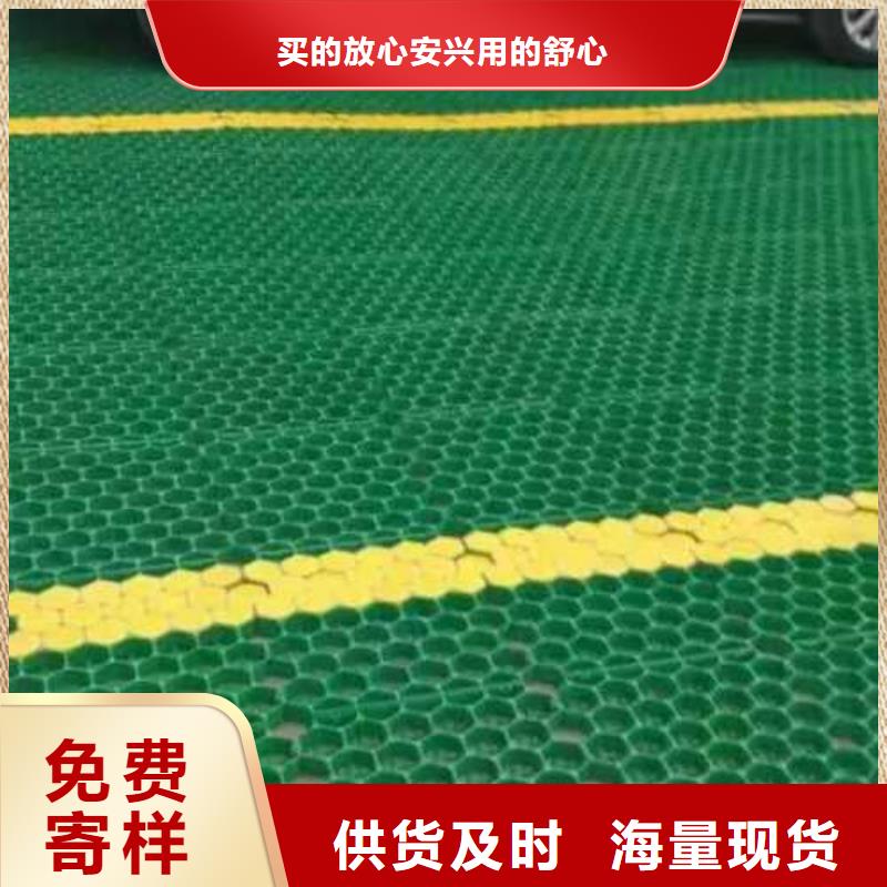 植草格凸结点钢塑土工格栅工厂自营同城品牌
