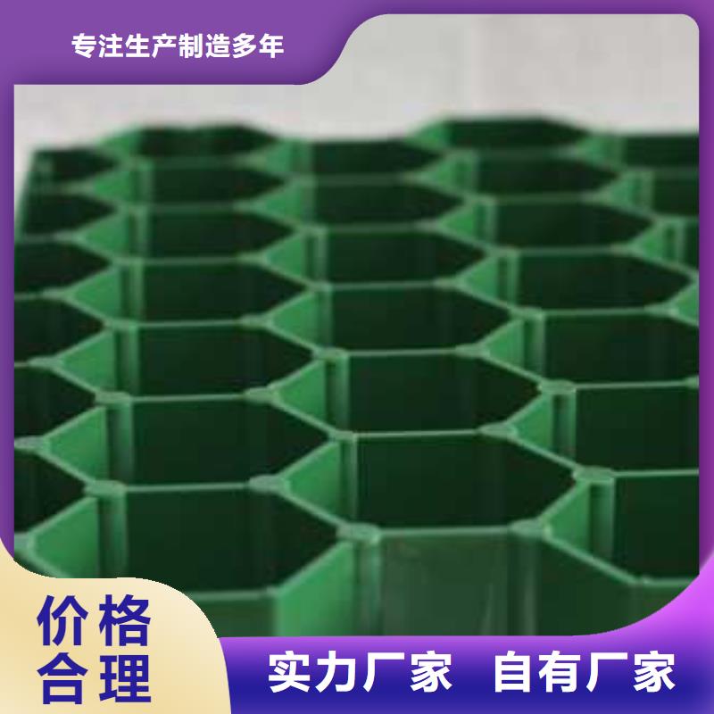 植草格PVC防水卷材产地厂家直销工艺精细质保长久