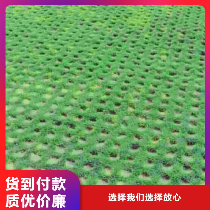植草格-凸结点钢塑土工格栅多种场景适用按需定做