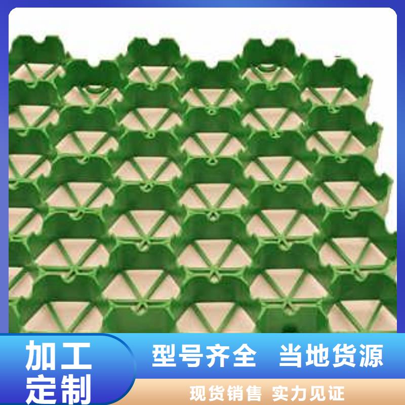 植草格PP焊接土工格栅厂家型号齐全生产安装