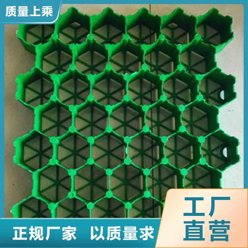 植草格【毛细排水板】现货销售拒绝中间商