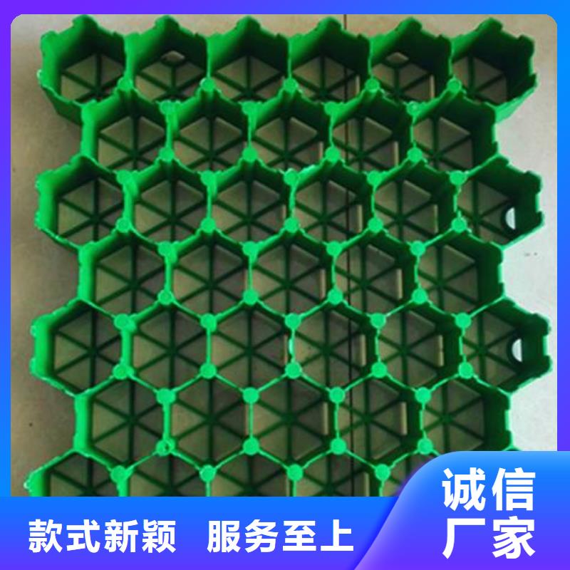 【植草格塑料盲沟拥有核心技术优势】诚信商家服务热情