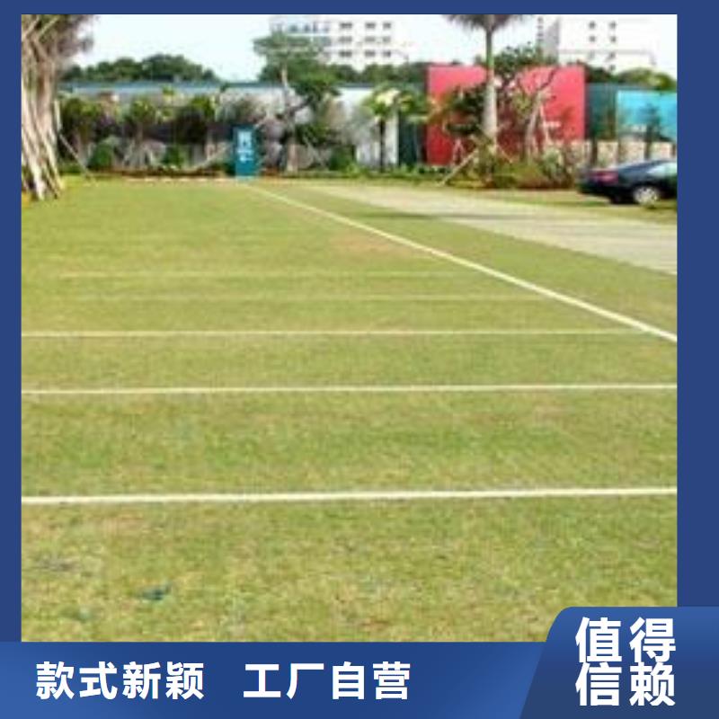 植草格土工格室实力厂家直销本地制造商