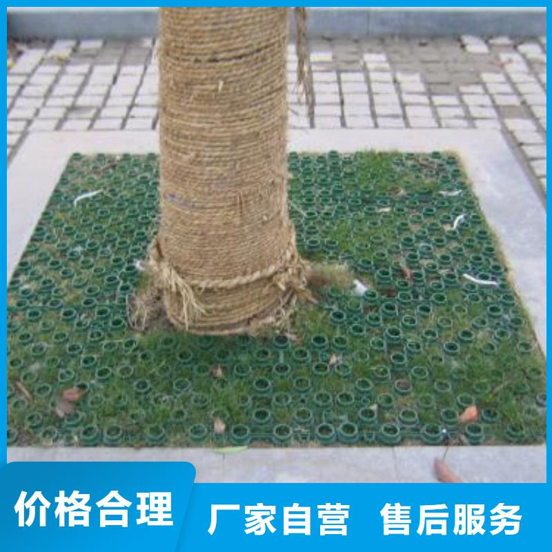 植草格_双向拉伸塑料格栅采购无忧精选货源