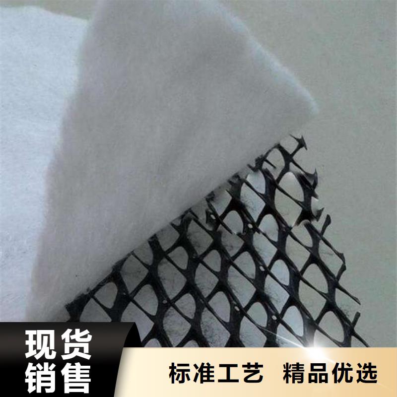 三维复合排水网,复合土工膜厂家直销直供本地厂家