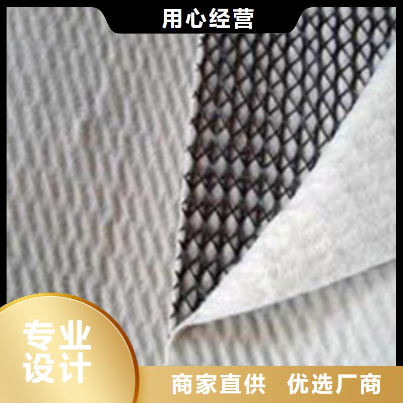三维复合排水网双向拉伸塑料格栅一手货源产地厂家直销