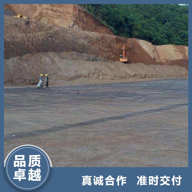 pp焊接土工格栅PVC防水卷材专心专注专业同城货源