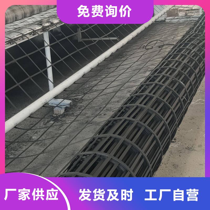 钢塑土工格栅土工席垫定金锁价本地货源