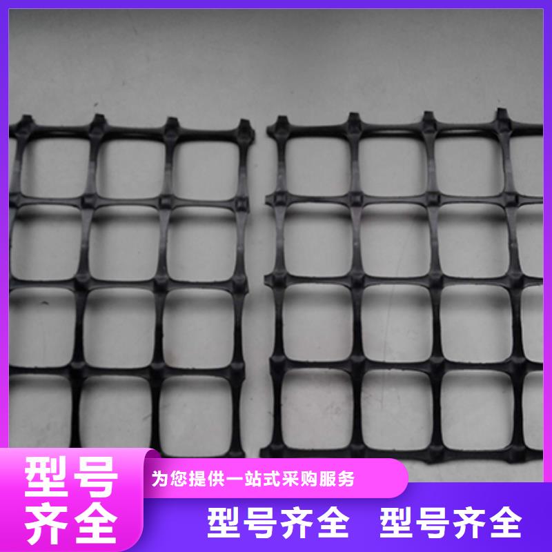 塑料土工格栅_凸结点钢塑土工格栅敢与同行比价格随心所欲定制