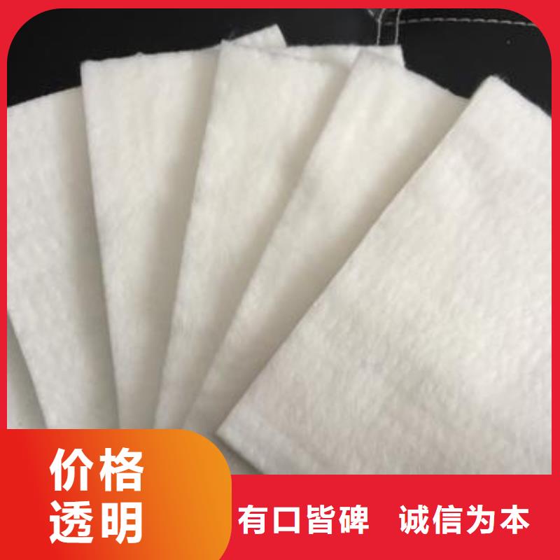 聚酯长丝土工布生产厂家哪家好真诚合作