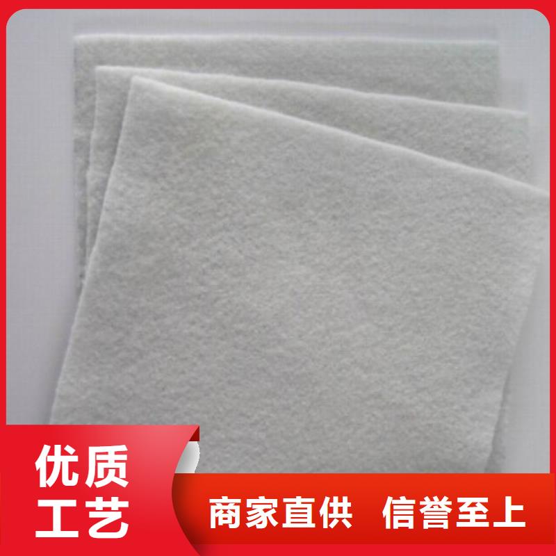 土工布复合土工膜多家仓库发货同城经销商