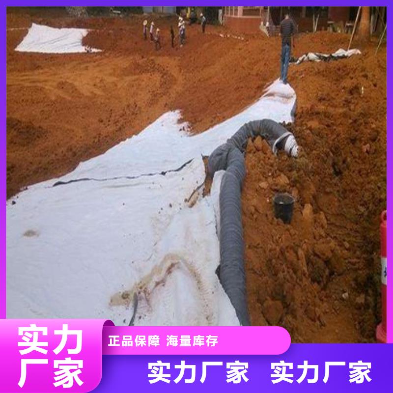 膨润土防水毯【三维土工网垫】快速生产当地制造商