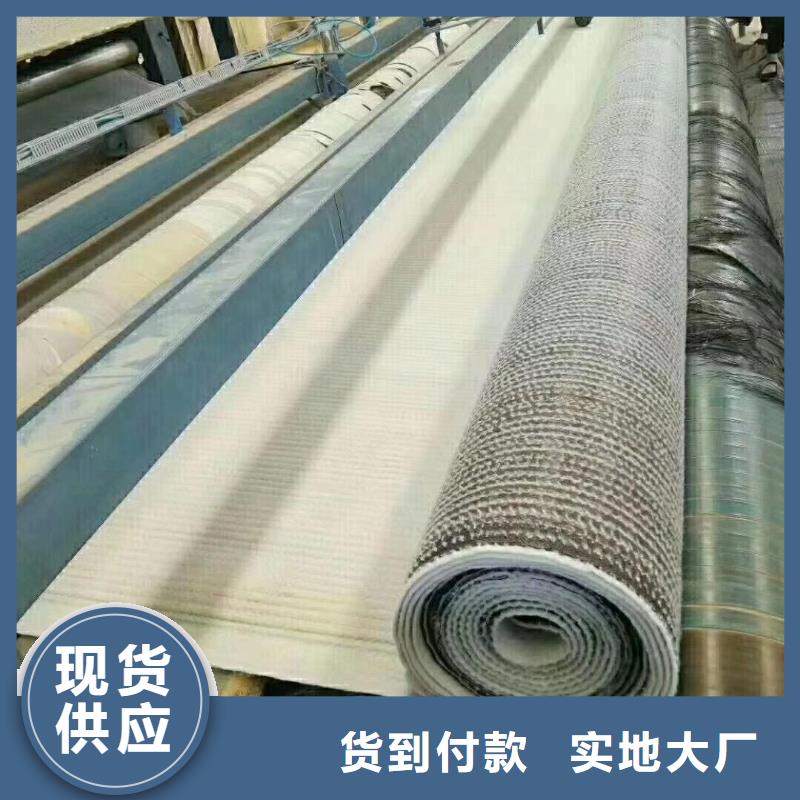 膨润土防水毯聚乙烯土工膜好货直销当地厂家