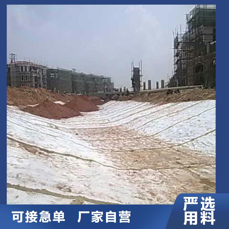 河道防水毯实力厂家/现货供应买的放心