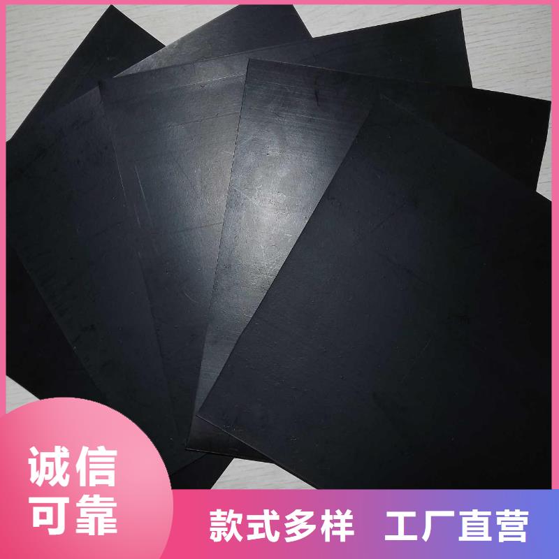 土工膜土工布实力工厂当地厂家