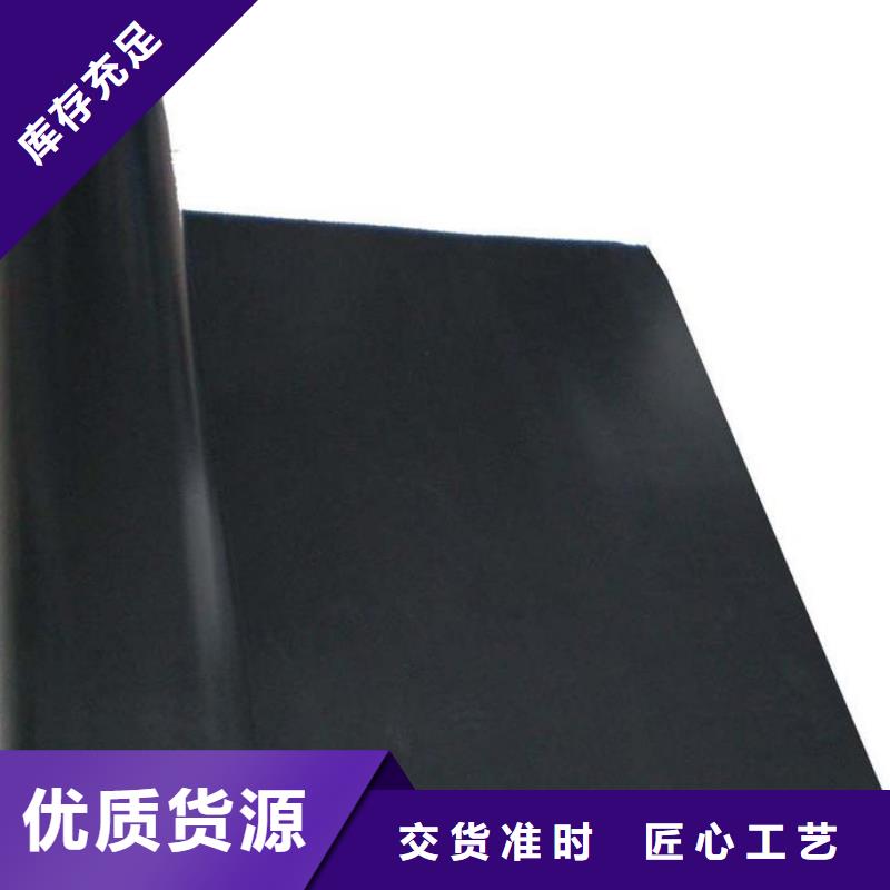 土工膜凸结点钢塑土工格栅注重细节专注细节使用放心