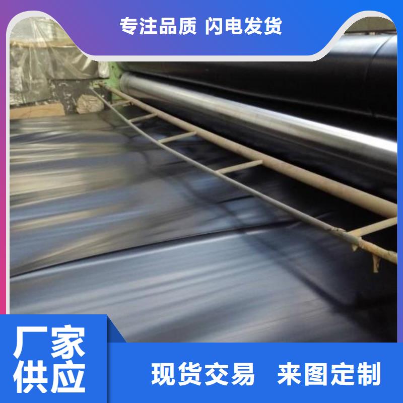 土工膜,玻纤土工格栅大库存无缺货危机同城公司