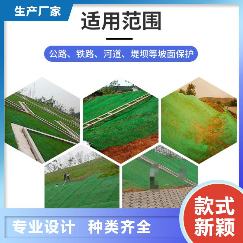 三维植被网-单向塑料土工格栅价格地道品质无所畏惧