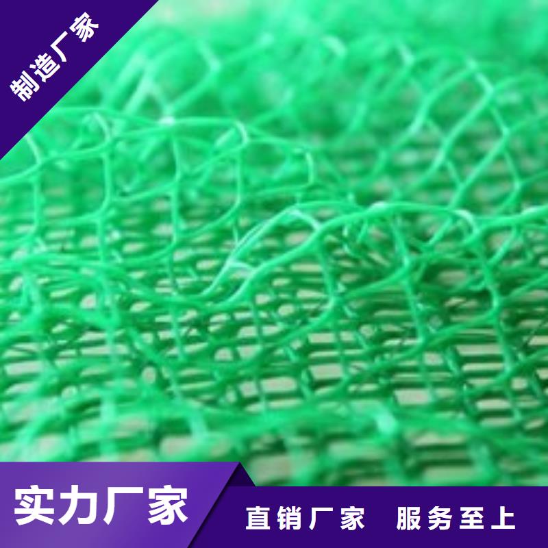 2025国标三维植被网施工方法本地生产厂家