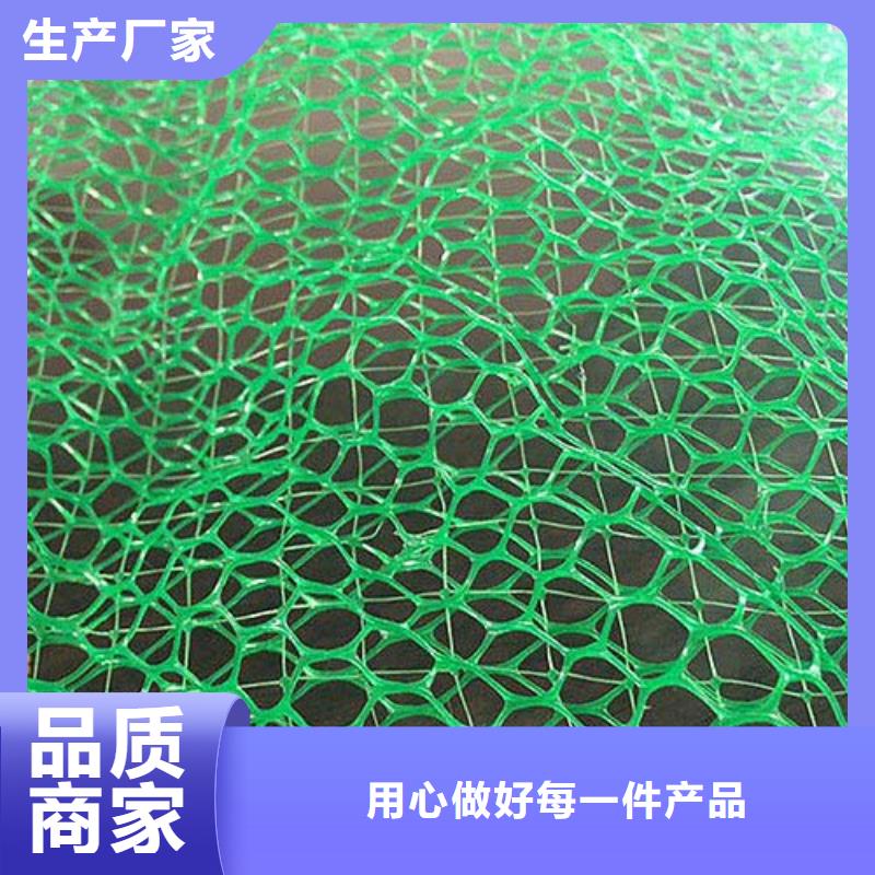 三维植被网长丝土工布生产厂家同城厂家