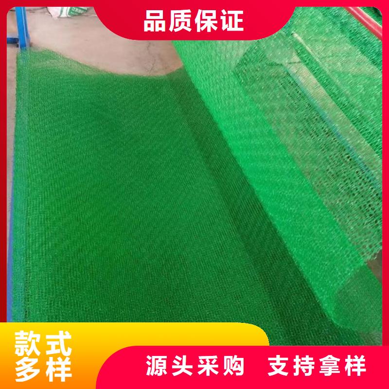 三维植被网,涤纶土工格栅匠心制造本地厂家