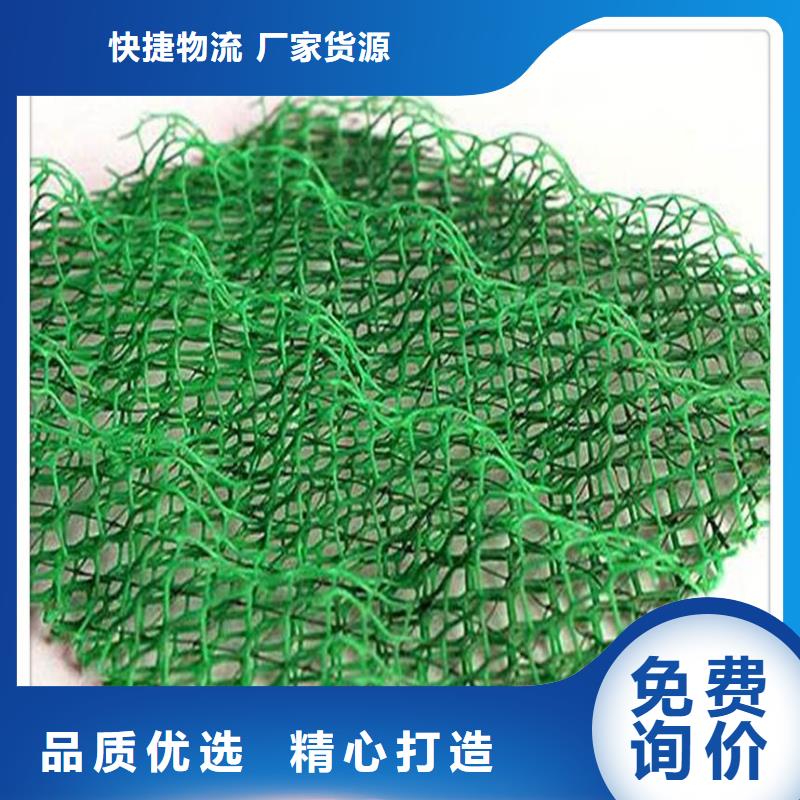 多规格三维植被网多规格可定制当地公司